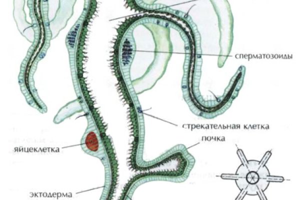 Кракен маркетплейс нарко
