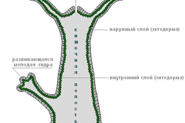 Не заходит на кракен