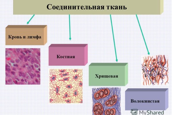 Кракен действующая ссылка